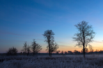 Misty morning in a field. Quiet, autumn sunrise over the field. Beautiful landscape. First sunny rays.
