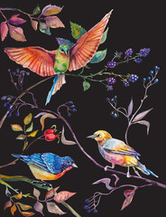 Colorful illustration. Exotic birds on BlackBerry, raspberry, rose hip branches on dark background