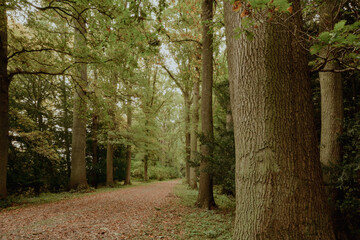 Beautiful view of Enghien park
