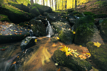 waterfall in autumn - obrazy, fototapety, plakaty