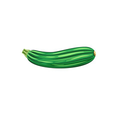 Flat illustration of vegetable marrow. Green zucchini with light and dark stripes and cuted stem on white background. Idea for poster, sticker, magazine, book, web design and so on.