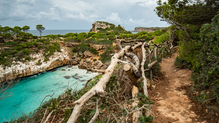 view of the sea and mountains Calo des Moro