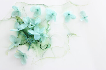 Creative image of pastel mint Hydrangea flowers on artistic ink background. Top view with copy space