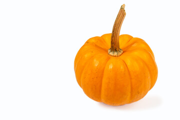 Ripe mini pumpkin isolated on white background
