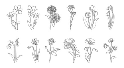 Line flowers. Abstract continuous outline floral decorative graphic collection, minimalistic hand drawn plants with leaves and blossom. Vector botanical set