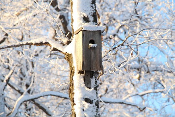 Birdhouse on a tree in winter. Birdhouse on a frosty day.