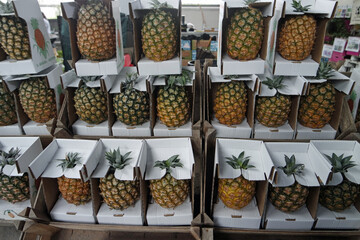 fruit market on the azores
