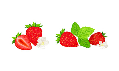 Mature Red Strawberry Whole and Half with Leaves and Blossom Vector Set