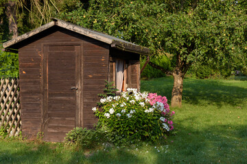 Fototapeta na wymiar Wooden hut in a green garden with colorful flowers and trees, Austria