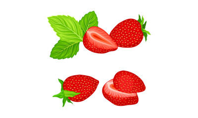 Mature Red Strawberry in Half with Leaves Vector Set