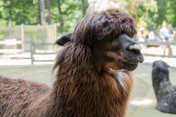 Zoo © Grzegorz