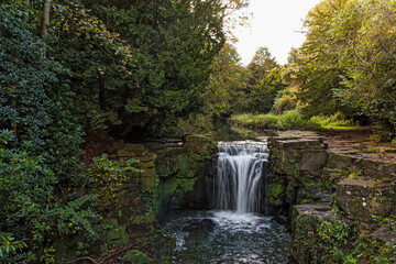 Obraz premium Waterfall in Jesmond Dene, Newcastle upon Tyne, UK