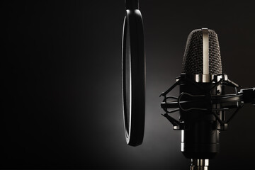 Professional studio microphone and pop filter. Monochrome image. Pure sound. Professional...