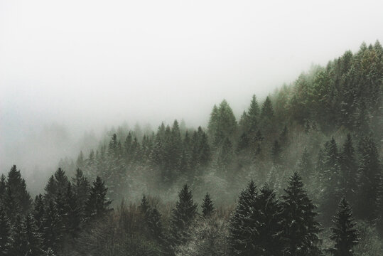 Fototapeta fog in the mountains