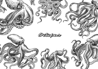 Sea octopus poster or banner. Engraved hand drawn in old sketch, vintage creature. Nautical or marine, monster. Animal in the ocean. Template for logos, labels and emblems. © artbalitskiy