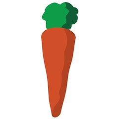 carrot vegetables flat vector design isolated on white background