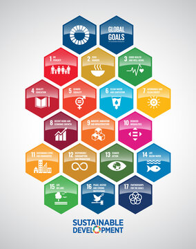 Hexagon Shape Icon Set Sketch Of Sustainable Development Social Work. Corporate Social Responsibility Project Resource. Goals To Success. Vector Icon.