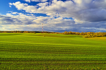 Obraz premium A beautiful landscape with green grass against a blue sky. Communication tower in the distance
