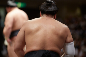 SUMO