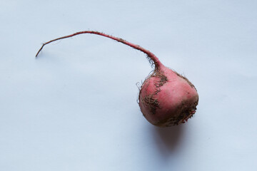 beetroot
