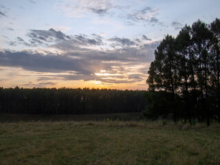 Obraz na płótnie Canvas sunset on a clear day over a wooded ravine