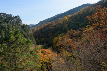 autumn in the mountains