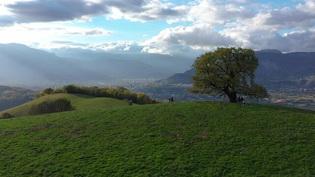 Chêne de Venon et Grenoble