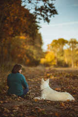 woman sitting on a path with a dog white swiss shepherd, autumn, leaves follow 