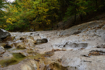 a small river in the mountains