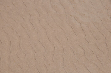 Texture of wavy sand by the wind of pastel tone