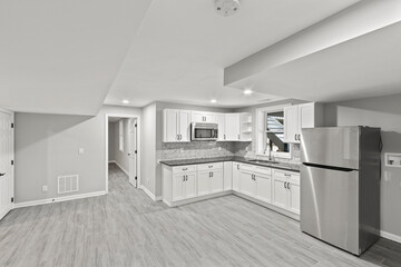 Luxurious mansion basement kitchen with fridge