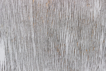 texture of old wood with peeled paint, use as background