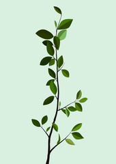 Branch with green young small leaves. Vector flat illustration with gray background. Modern drawing. Design for cards, posters, backgrounds, templates, textiles, menus, t-shirts.