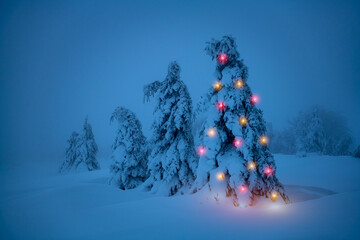 Tree inluminated with christmas lights. Christmas tree in the landscape covered with fresh snow.