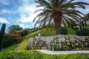 Obraz na płótnie Canvas Terraces of the wonderful Bahai Park in Haifa. Curly ivy on the stone support wall