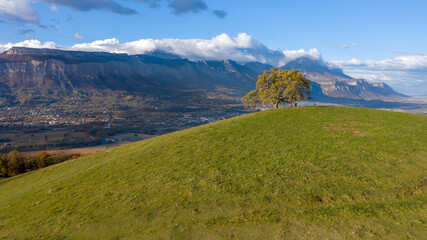 Le chene de Venon sur les hauteurs de Grenoble