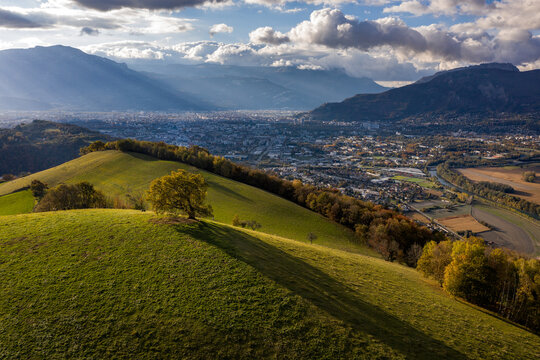 Chêne de Venon au coucher de soleil sous fond de Grenoble