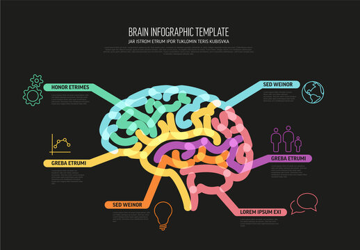 Multipurpose Thick Line Infographic Dark Template with Human Brain