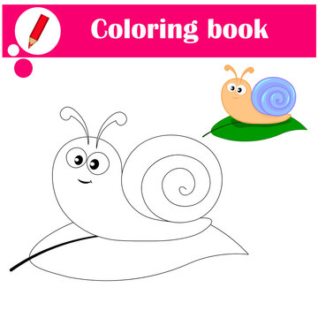 Coloring page outline of cartoon snail. Vector illustration, coloring book for kids
