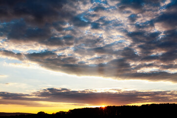 Spectacular sunset with altocumulus clouds on the sky . Twilight over the forest  - obrazy, fototapety, plakaty
