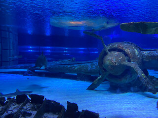 Naklejka premium Sunken plane under water in Antalya aquarium of Turkey