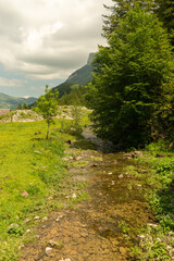 Fototapeta na wymiar Appenzell, Switzerland, June 13, 2021 Beautiful mountain panorama on a cloudy day