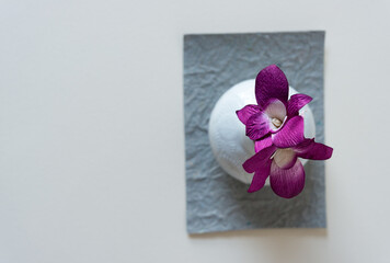 artificial orchid in a vase on paper