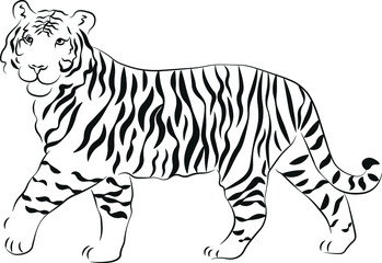 Tiger, hand drawn animal illustration. New year, logo, cards, print