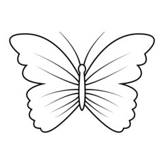 Butterfly Vector minimalistic art. Black and white. White background. Line drawing.