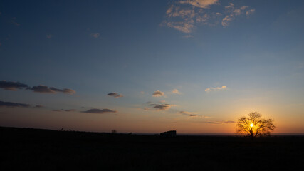 Por do sol no sertão