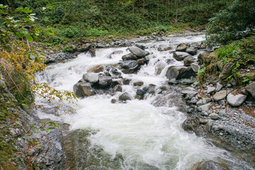 Clear mountain river , stream flowing through rocks. River stones with flowing water