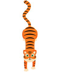 Vector illustration in a flat style. Tiger cub top view.
Symbol of 2022 of the Chinese horoscope. It can be used in congratulations, on websites, in print.