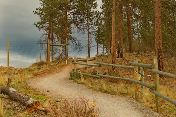 Fototapeta premium An autumn forest path leading uphill with an old fence made from wooden poles bordering the trail.