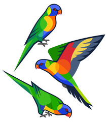 Stylized Birds - Rainbow Lorikeet